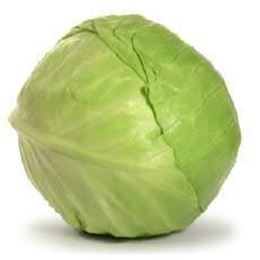 Picture of Cabbage Plain - Whole