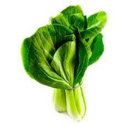 Picture of Bok Choy Baby
