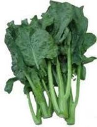 Picture of Chinese Broccoli