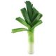 Picture of Leeks