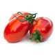 Picture of Tomato - Roma 