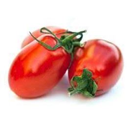 Picture of Tomato - Roma 