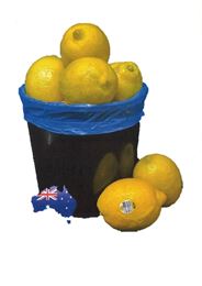 Picture of Bulk Buy Lemons - 1.5kg