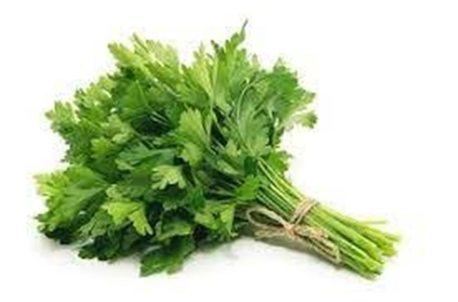 Picture of Continental Parsley Bunch