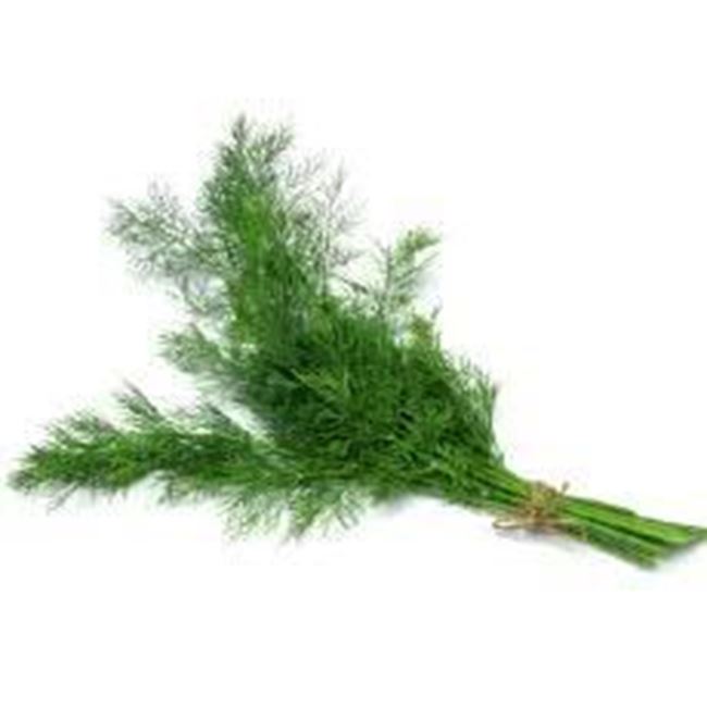 Picture of Dill Bunch