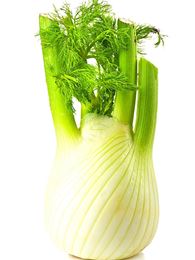 Picture of Fennel