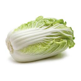 Picture of Cabbage Chinese - Whole