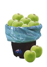 Picture of Bulk Buy Granny Smith Apples - 1.5kg
