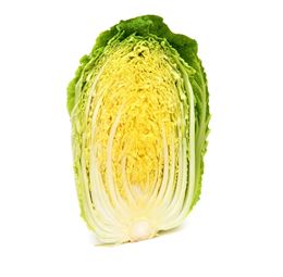 Picture of Cabbage Chinese - Half 