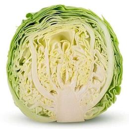 Picture of Cabbage Plain - Half 
