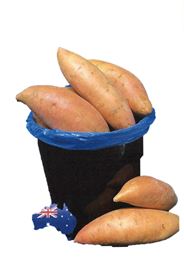 Picture of Bulk Buy Red Sweet Potatoes - Approx. 1.5kg