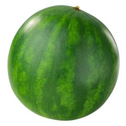 Picture of Watermelon Seedless Whole - Approx 8kg