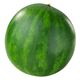 Picture of Watermelon Seedless Whole - Approx 8kg