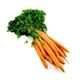 Picture of Carrots - Dutch 