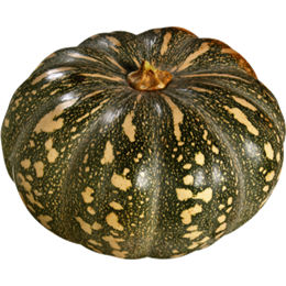 Picture of Pumpkin Jap Whole - Approx. 4kg