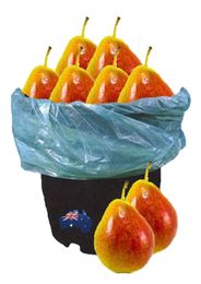 Picture of Bulk Buy Corella Pears - 1.5kg