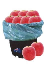 Picture of Bulk Buy Pink Lady Apple - Approx. 1.5kg