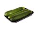 Picture of Pre-Pack Zucchini - Approx. 1kg