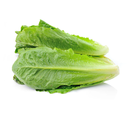 Picture of Cos Lettuce