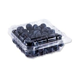Picture of Blueberry Punnets
