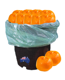 Picture of Bulk Buy Imperial Mandarines - Approx. 1.5kg