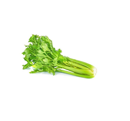 Picture of Celery Bunch