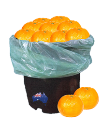 Picture of Bulk Buy Afourer Mandarines - Approx. 1.5kg