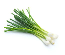Picture of Spring Onions Bunch
