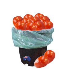 Picture of Bulk Buy Roma Tomatoes - Approx. 1.5kg