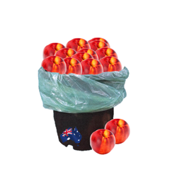 Picture of Bulk Buy Yellow Nectarines - Approx.1.5kg