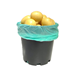 Picture of Bulk Buy Small Washed Potatoes - Approx. 2kg 