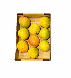 Picture of Keningston Pride Mangoes Tray