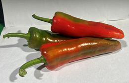 Picture of MIXED BULLHORN CHILLIES